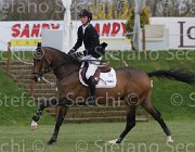 Schuttert Up to Date TosTour 2013- S5 7934 : Arezzo Equestrian Centre, Schuttert Hendrik, Toscana Tour 2013, Up to Date, foto di Stefano Secchi ©